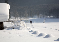 Winter walking at Lake Wolfgang