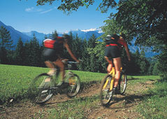 Mountainbike-Tour in the mountains