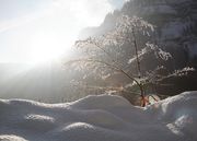 Winterm�rchen