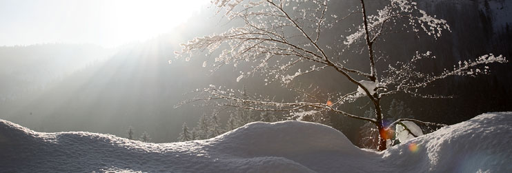 Reiseb�ro Pro Travel - Salzkammergut Incoming