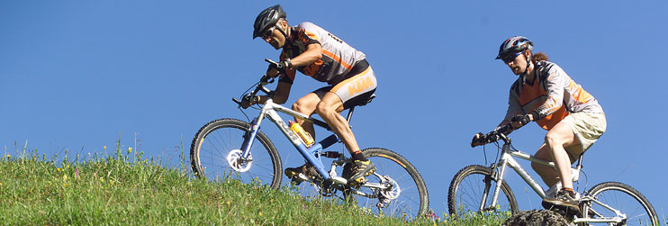 Reiseb�ro Pro Travel - Salzkammergut Incoming