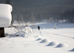 Winterwandern am Wolfgangsee