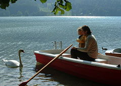 Schwäne füttern am Fuschlsee