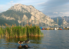 Holiday region Traunsee